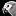 BirdMinds - Exploring Bird Intelligence