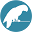 Birds Now - Birds and Parrots for Sale and Adoption