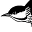 Ontario Breeding Bird Atlas