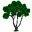 African Blackwood Conservation Project – Tree planting projects for Dalbergia melanoxylon