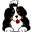 Bernese Mountain Dog Puppies | BMDCNV