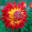 Bob Scott Nursery | 10116 W Wilshire Yukon, OK 73099