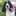 Bondir English Springer Spaniels Web Site