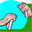 Bone Dry Musical Instrument Company: Buy Music Rhythm Bones