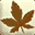 Home Page | Bonsai Nut