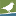 Bird Conservation | Boreal Songbird Initiative