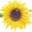Botanical Interests High Quality Seeds and Garden Products