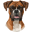 boxerclub-bg