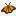 www.BrisbaneInsects.com