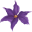 British Clematis Society Web Site