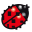 Bug.hr