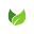 American Bulk Herbs 500+ premium wholesale cut, powder, whole non-GMO ingredients