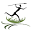 Plains Game Hunting | Limpopo | Bush Africa Safaris