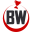 BW Darts Personalised custom dart flights and custom darts gift sets