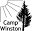 Camp Winston Foundation