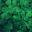 Carbon Offset Daily - All about carbon offsetting