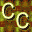 Carolyn's Clinic