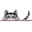 Best Cat Hospital In Metairie, LA | Cat Hospital Of Metairie