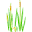 Cattail.Nu