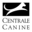 Accueil | Centrale Canine