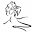 Chelmsford Dance Centre | Ballroom and Latin Dancing