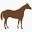 Vente de Chevaux de Sport (CSO - Selle Français) : Élevage du Theil