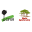 Home | CIFOR-ICRAF
