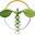 Homepathic & Natural Healing Office
