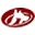 City Veterinary Hospital – Pet Care | Pet Clinic | Cat Clinic | Dog Care