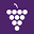 Classic New Zealand Wine Trail