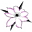 International Clematis Society Homepage