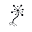 Center for the Neural Basis of Cognition