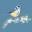 Coastal Images - Wildlife Illustrations