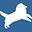Collie Health Foundation – Collie Health Foundation