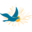 FEDERATION COLOMBOPHILE FRANCAISE