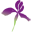 Colostomy UK - A UK charity supporting people with a stoma