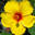 Home - Compassionate Acupuncture and Healing Arts