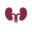 Corpus Christi Urology Group - Urologists in Corpus Christi