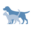 Court Vets | Friendly & Compassionate Pet Care in Faringdon