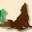 Welcome to Coyote Country Seasonings | Coyote Country Seasonings