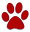 Cat Furniture for Cats of Every Breed & Activity Level