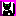 Crazy for Kitties and Cats -- Celebrate Your Cat!