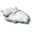 Creative Cloud Solutions