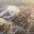 UK Chemical Reaction Hazards Forum -