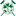 Home | Croquet Association of Ireland
