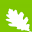 ISO Auditing | Internal Audit | Virtual Consulting Available