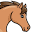 Curavet by Curatronic | PEMF Therapy for Horses
