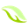 CureDM, Inc. - Researching a Cure for Diabetes