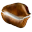 Cypraea.eu - Cowries worldwide