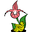 Cypripedium.de (Frosch®)